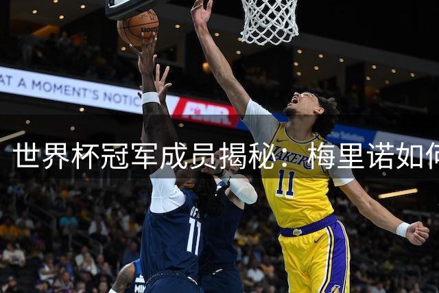 世界杯冠军成员揭秘：梅里诺如何用智慧征服绿茵场