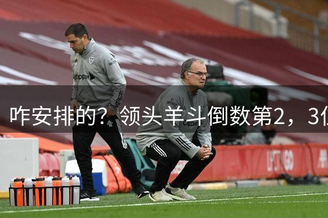 咋安排的？领头羊斗倒数第2，3位世界杯裁判执法，真是太有排面了
